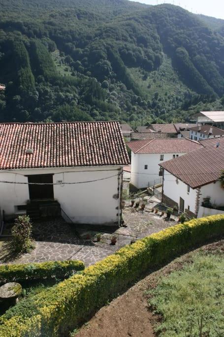 EzkurraGartzinea, Amplia Y Preciosa Vivienda Ruralアパートメント エクステリア 写真