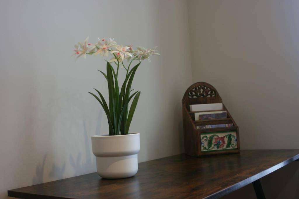 EzkurraGartzinea, Amplia Y Preciosa Vivienda Ruralアパートメント エクステリア 写真