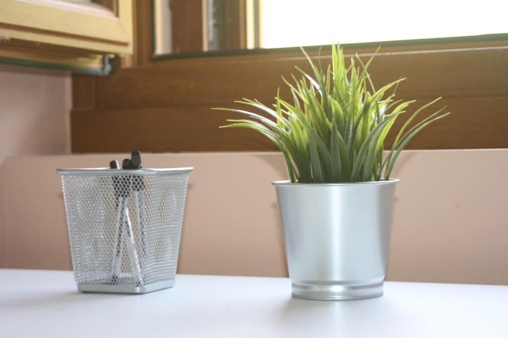 EzkurraGartzinea, Amplia Y Preciosa Vivienda Ruralアパートメント エクステリア 写真
