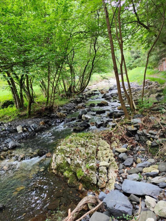 EzkurraGartzinea, Amplia Y Preciosa Vivienda Ruralアパートメント エクステリア 写真
